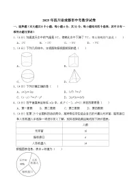 2025年四川省成都市中考数学试卷附答案