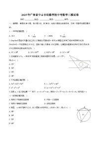 2025年广东省中山市纪雅学校中考数学三模试卷 （中考模拟）
