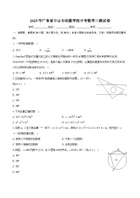 2025年广东省中山市纪雅学校中考数学三模试卷 （中考模拟）