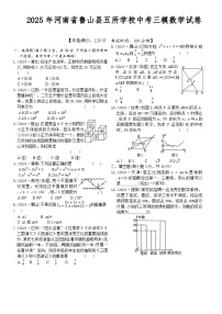 2025年河南省平顶山市鲁山县五所学校中考三模数学试题（中考模拟）