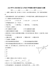上海市徐汇区2024-2025学年七年级下学期期末数学自编练习试题