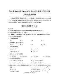 四川省乐山市马边彝族自治县 2024~2025学年八年级数学上学期期末学情监测试题