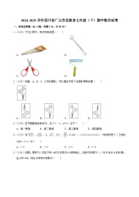 四川省广元市苍溪县2024—2025学年下学期七年级期中数学试卷