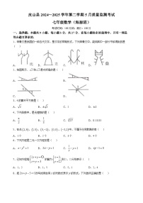 新疆维吾尔自治区和田地区皮山县2024-2025学年七年级下学期5月月考数学试题