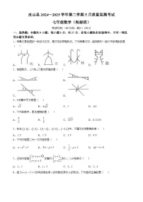新疆维吾尔自治区和田地区皮山县2024-2025学年七年级下学期5月月考数学试题