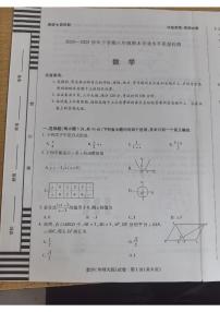 河南省新乡市2024-2025学年八年级下学期6月期末数学试题
