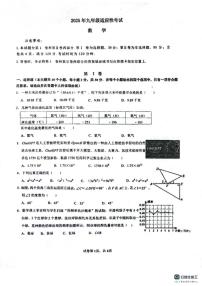 广东省佛山市南海区桂城街道平洲第二初级中学2024-2025学年九年级下学期6月月考数学试题