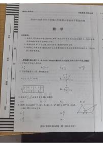 河南省新乡市2024-2025学年八年级下学期6月期末数学试题
