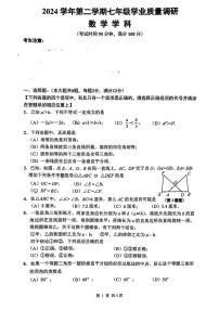 上海市闵行区2024-2025学年下学期七年级期末数学试题