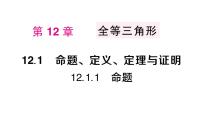 初中数学华东师大版（2024）八年级上册（2024）1. 命题作业ppt课件
