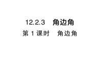 初中数学华东师大版（2024）八年级上册（2024）3. 角边角作业ppt课件
