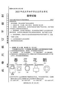 2025年湖北省武汉市中考数学试题（中考模拟）