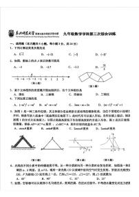 2025年吉林省长春市东北师范大学附属中学经开校区中考三模数学试题（中考模拟）