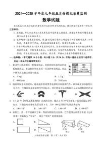 2025年山东省济宁市金乡县中考二模数学试题（中考模拟）