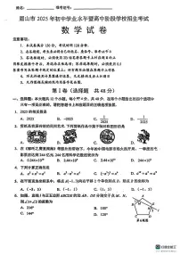 2025年四川省眉山市中考数学试题 -（中考模拟）