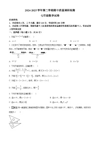 河南省洛阳市伊川县2024-2025学年七年级下学期期中质量调研检测数学试卷