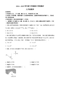 河南省驻马店市平舆县2024-2025学年 下学期期中学情测评九年级数学试卷