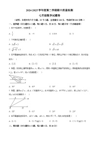 江西省赣州市信丰县2024-2025学年七年级下学期4月期中数学试题