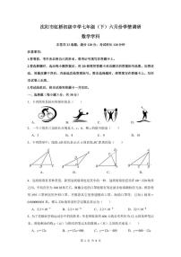 辽宁省沈阳市虹桥中学教育集团2024-2025学年下学期七年级6月月考数学试题