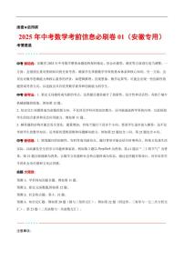 2025中考数学考前信息必刷卷安徽01(解析版)