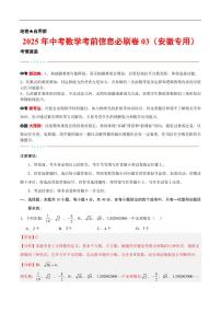 2025中考数学考前信息必刷卷安徽03(解析版)