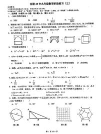 2025安徽中考【数学】合肥45中三模（试卷+答案）