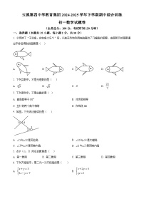 云南省玉溪市红塔区玉溪第四中学2024-2025学年七年级下学期5月期中数学试题
