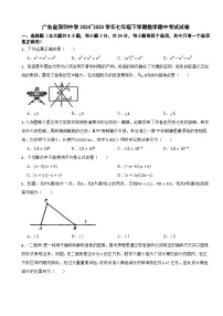 广东省深圳中学2024~2025学年七年级下学期数学期中考试试卷
