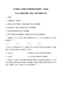 苏科版2025年新九年级数学暑假衔接讲义(巩固复习)考点01数据的收集、整理、描述(原卷版+解析)