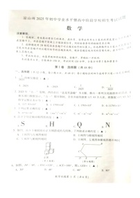 2025年四川省凉山州中考数学真题学业水平考试