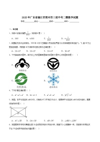 广东省湛江市雷州市三校2025届九年级下学期中考二模数学试卷(含解析)