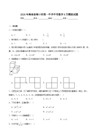 海口市第一中学2024届九年级下学期6月模拟数学试卷(含解析)