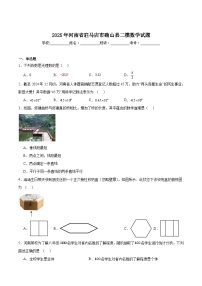 河南省驻马店市确山县2025届九年级下学期中考二模数学试卷(含解析)