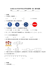江西省2025届初中学业水平考试（四）数学试卷(含解析)