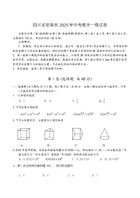 四川省资阳市2025届九年级下学期中考一模数学试卷(含答案)