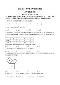 湖北省武汉市东西湖区2023-2024学年八年级下学期期末考试数学试卷(含答案)