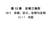 华东师大版（2024）八年级上册（2024）1. 命题作业ppt课件