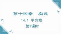 八年级上册（2024）14.1 平方根优秀第1课时教学设计及反思