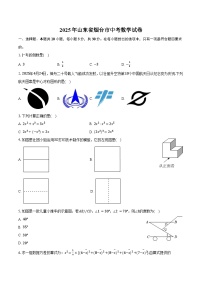 2025年山东省烟台市中考数学试卷（含解析）