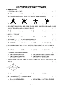 2025 年湖南省初中学业水平考试数学试卷及参考答案