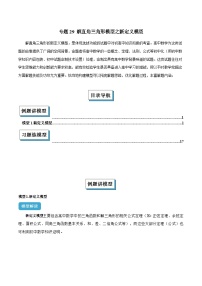专题29 解直角三角形模型之新定义模型-2025年中考数学常见几何模型全归纳之模型解读与提分精练（全国通用）