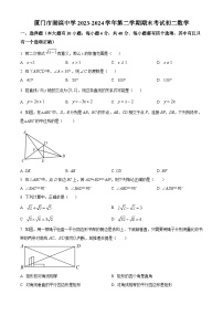 福建省厦门市湖滨中学2023-2024学年八年级下学期期末数学试题（含答案）