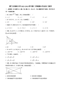 福建省厦门市湖滨中学2023-2024学年八年级下学期期末数学试题（含答案）