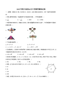 2025年四川省眉山市中考数学模拟试卷