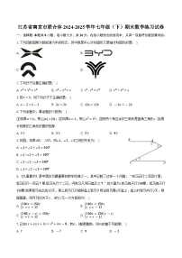 江苏省南京市联合体2024-2025学年七年级（下）期末数学练习试卷