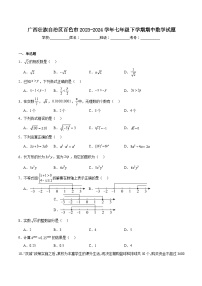 广西壮族自治区百色市2023-2024学年七年级下学期期中考试数学试卷(含解析)