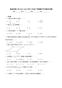 海南省海口市2023-2024学年八年级下学期期中考试数学试卷(含解析)