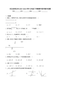 河北省邢台市2023-2024学年七年级下学期期中考试数学试卷(含解析)