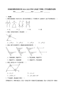 河南省安阳市林州市2024-2025学年七年级下学期3月考试数学试卷(含解析)