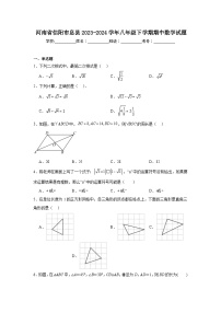 河南省信阳市息县2023-2024学年八年级下学期4月期中考试数学试卷(含解析)